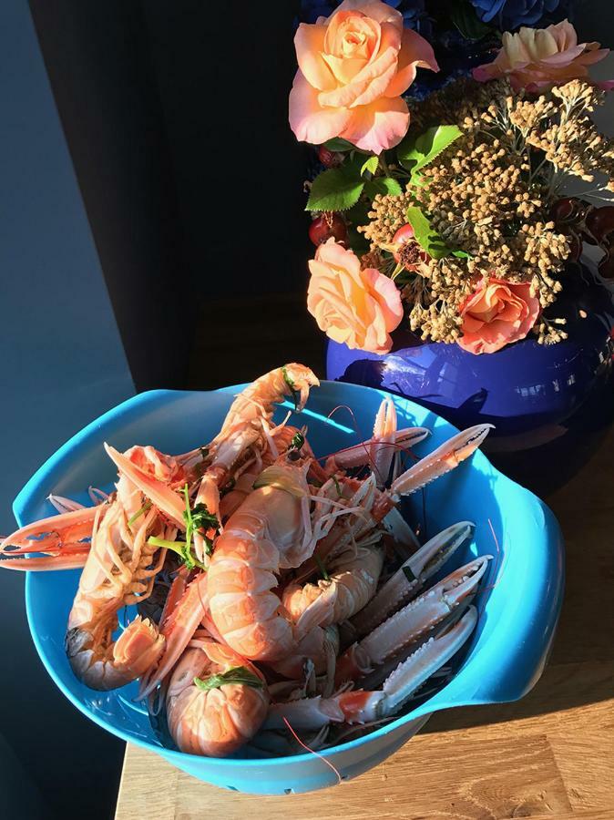 Ker Feuchidoul Bed & Breakfast Merlevenez Eksteriør bilde